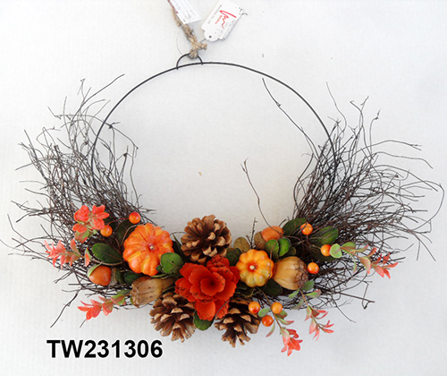 TW231306