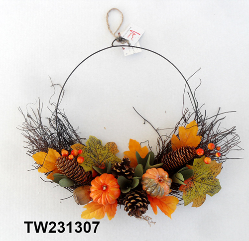 TW231307