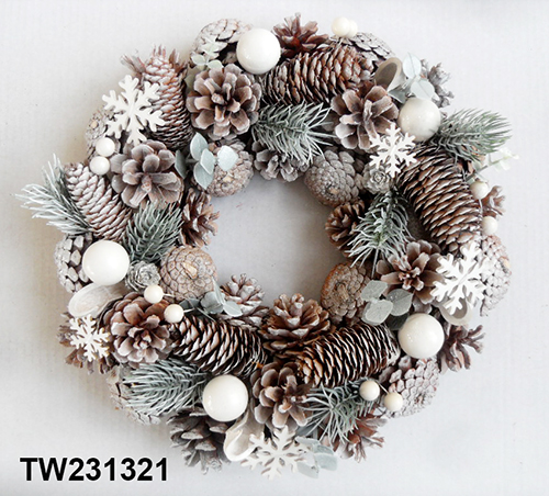 TW231321