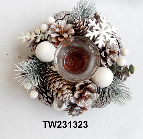 TW231323