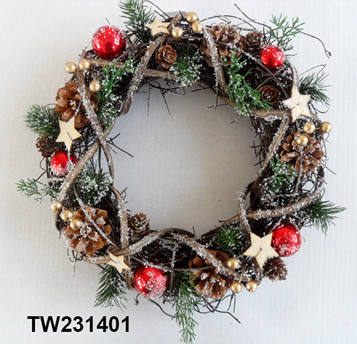 TW231401
