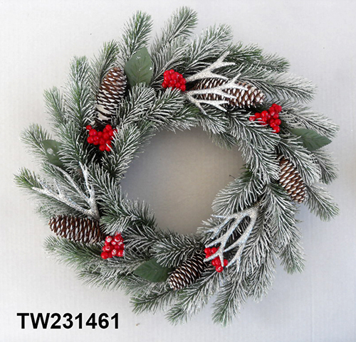 TW231461