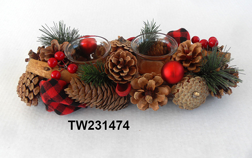TW231474