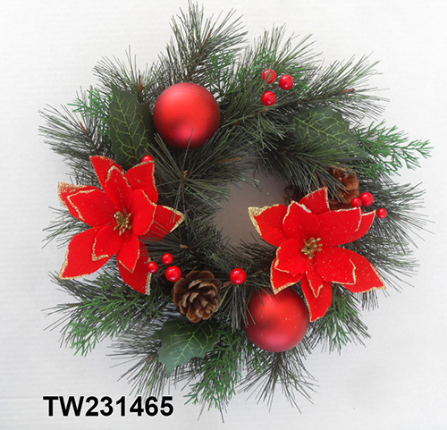 TW231465