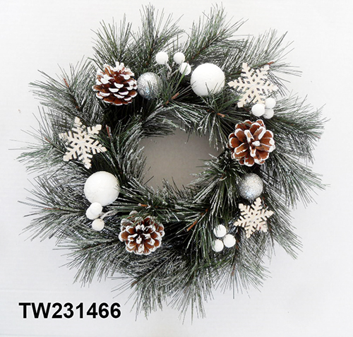 TW231466