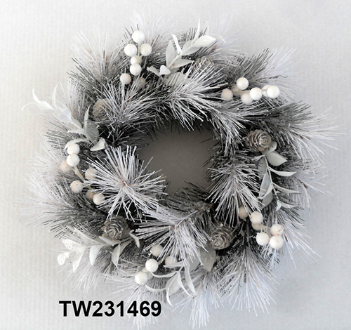 TW231469