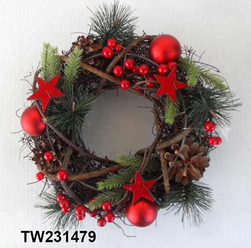TW231479