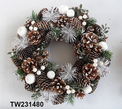 TW231480