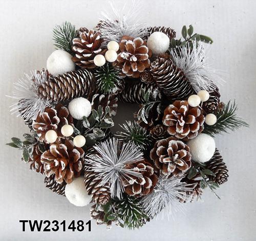 TW231481