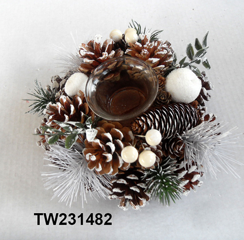 TW231482