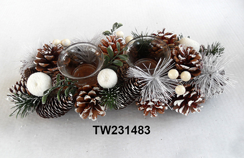 TW231483