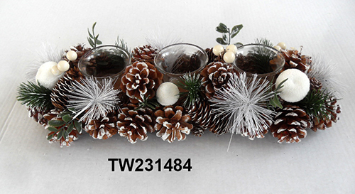 TW231484
