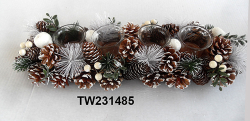 TW231485