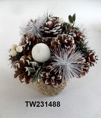TW231488