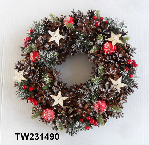 TW231490