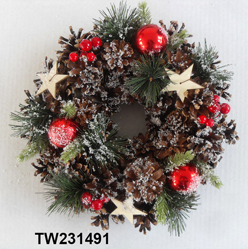 TW231491