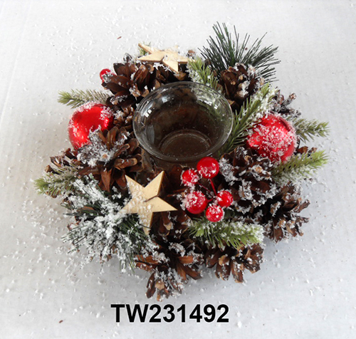 TW231492