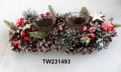 TW231493