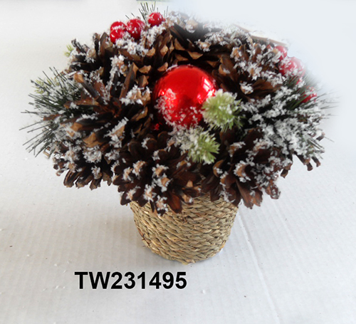 TW231495