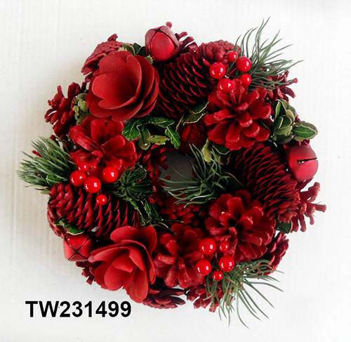 TW231499