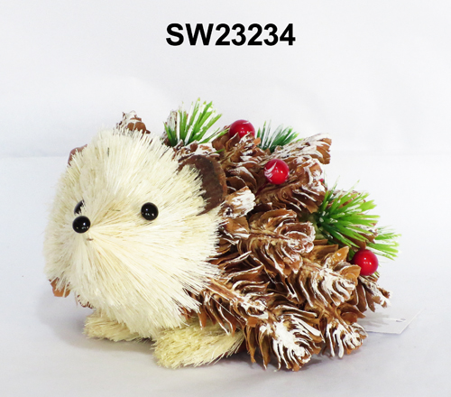 SW23234