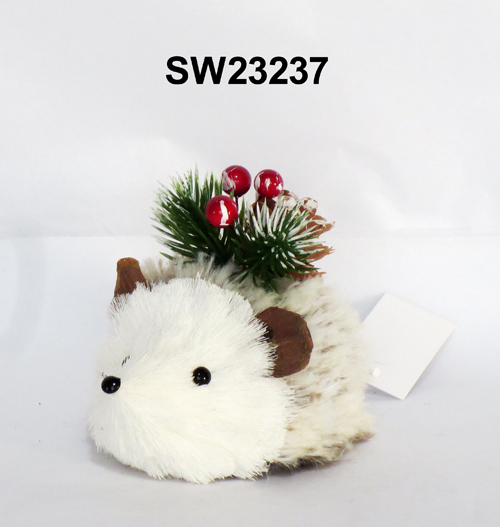 SW23237