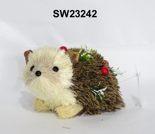 SW23242