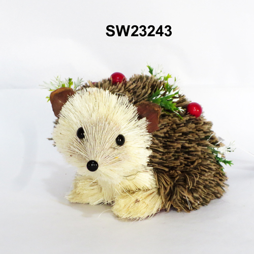 SW23243