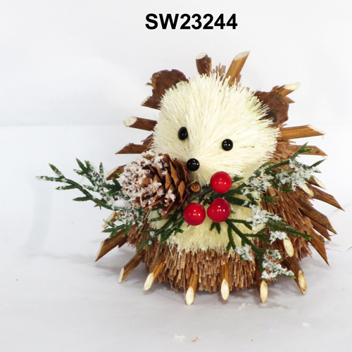 SW23244