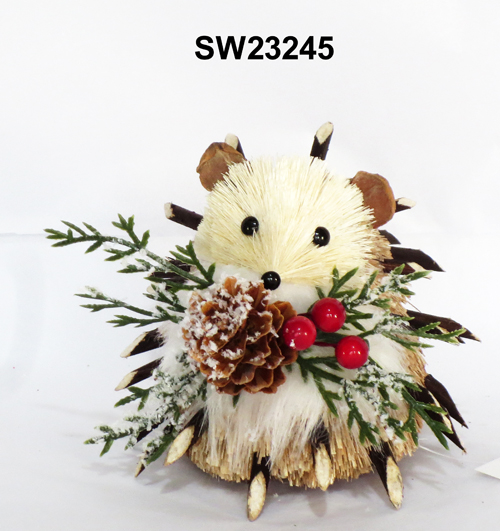 SW23245