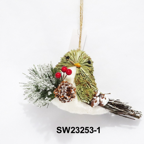 SW23253-1
