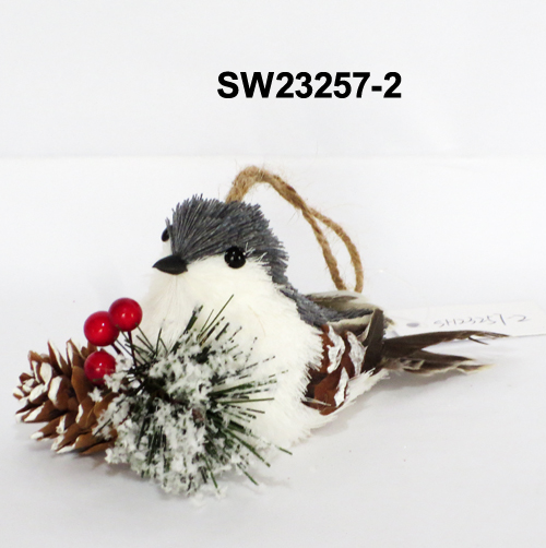 SW23257-2