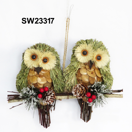 SW23317