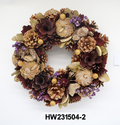 HW231504-2