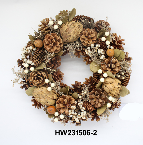HW231506-2
