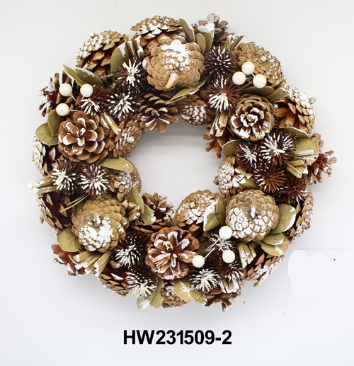 HW231509-2