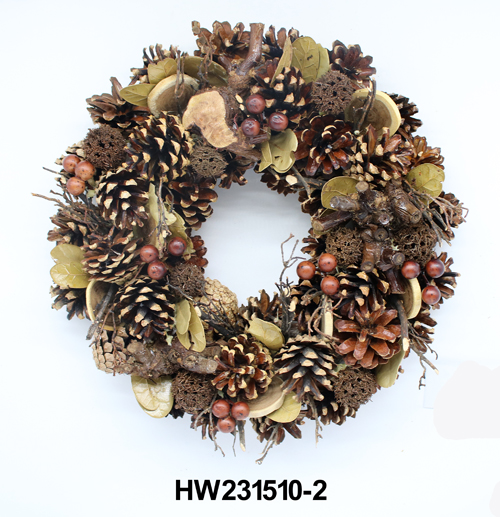 HW231510-2