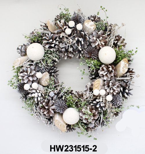 HW231515-2