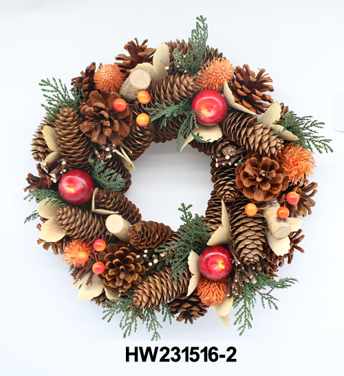 HW231516-2