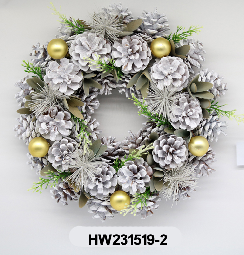 HW231519-2