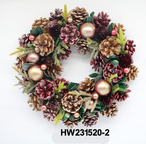 HW231520-2