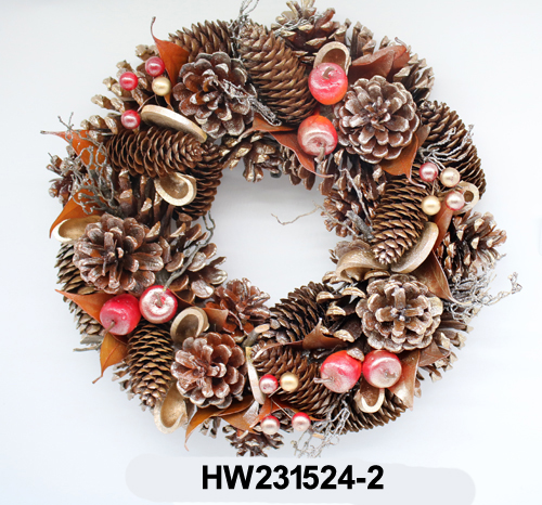 HW231524-2