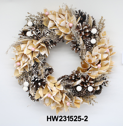 HW231525-2