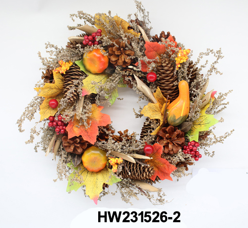 HW231526-2