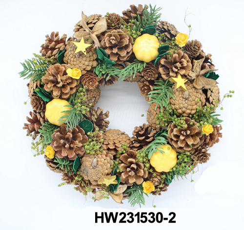 HW231530-2