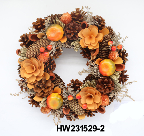HW231529-2