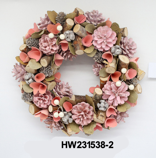 HW231538-2