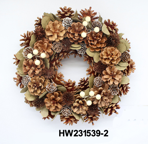 HW231539-2