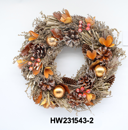 HW231543-2