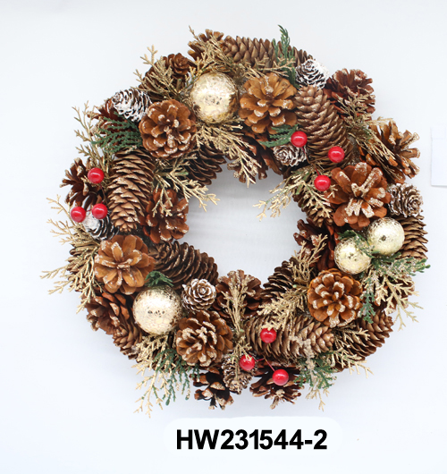HW231544-2